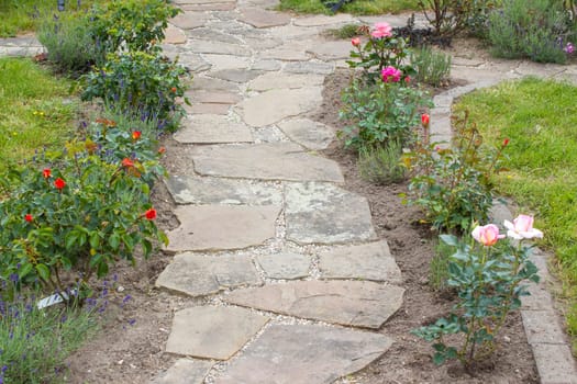stone paved garden path and flowers - roses and lavender