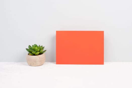 Cactus in a pot on a red colored background, minimalistic decoration, plant at the desk, copy space for text, modern home