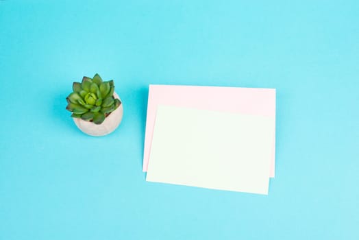 Empty paper with a pen and a cactus textured background, brainstorming for new ideas, writing a message, taking a break, home office desk