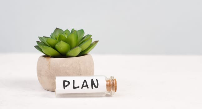 Cactus with the word plan standing on a bottle, gray background, minimalistic desk, brainstorming for a start up, being creative, planning the future