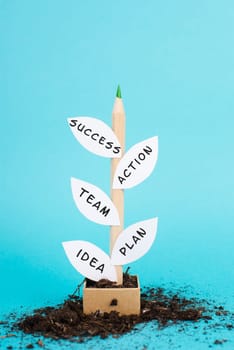 Plant grows for success, having an idea, planning a strategy, teamwork for success step by step concept, progress in business and education, have a goal