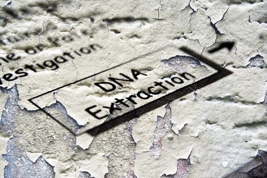 DNA extraction