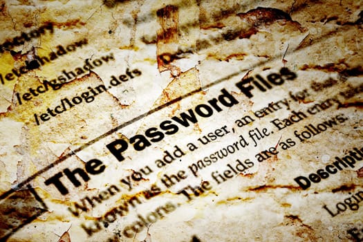 The password files