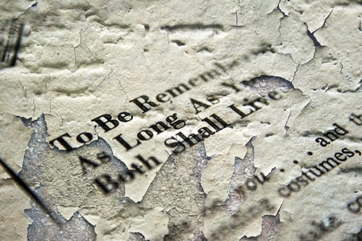 Love letter