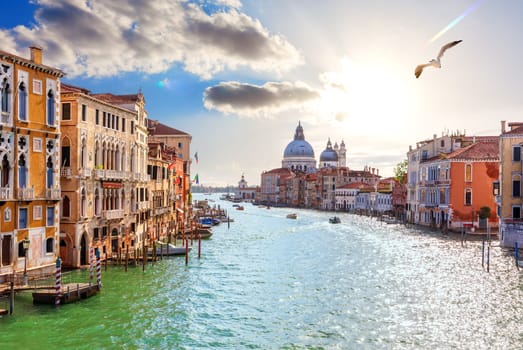 Lagoon in the Grand Canal of Venice near Santa Maria della Salute, Italy.