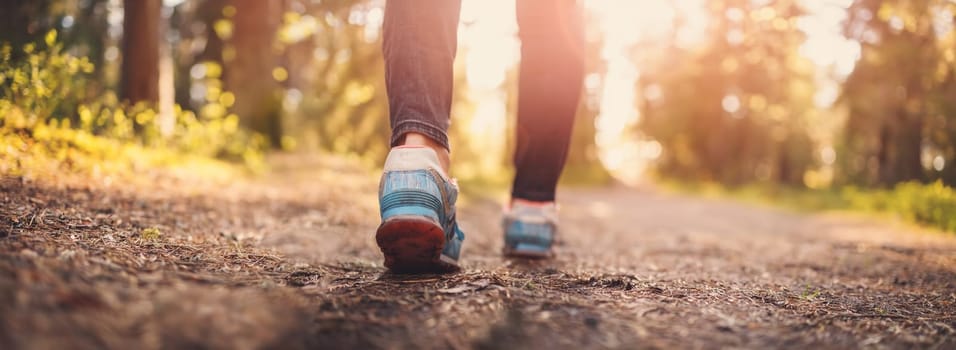 Woman's legs hiking in the forest in summer. Concept of tourism and vacation.