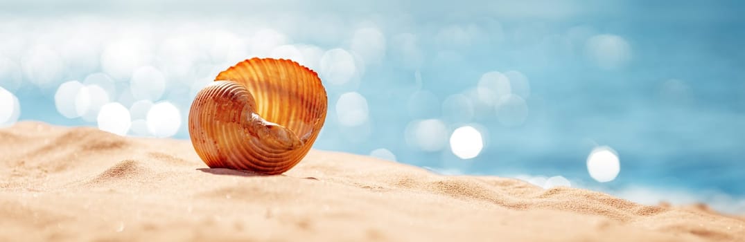 Shell on the sand of the sea beach in summer. Concept of vacation and tourism.