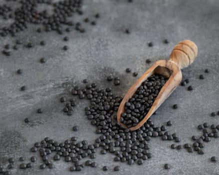 Wooden Scoop of black beluga lentils beans on grey wooden table close up. Healthy eating, protein source for vegan and vegetarian diet. Traditional Asian and North African cuisines ingredient