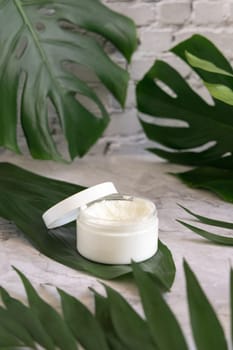 Opened White jar and monstera leaves on marble table close up. Brand packaging mockup. Skincare beauty product, cream or butter. Making homemade herbal cosmetics from natural ingredients..