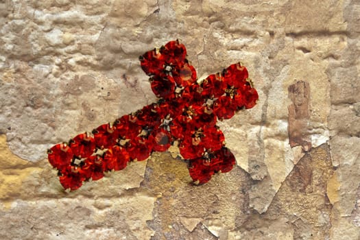 Red cross on grunge background