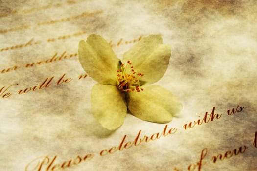 Invitation