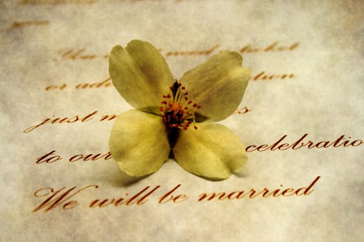 Wedding invitation