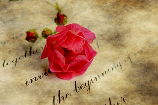 Love letter