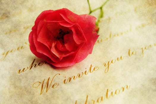 Invitation