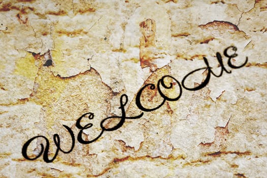 Welcome