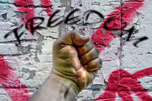 Fight for freedom