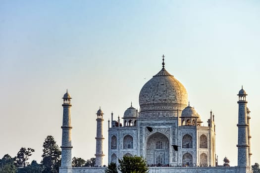 Taj Mahal with flying ravens in Agra, Uttar Pradesh, India