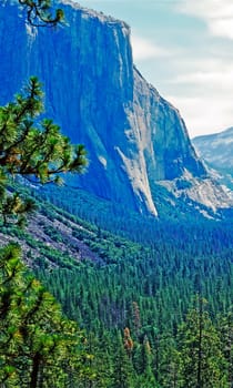 El Capitan in Yosemite National Park,California