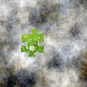 Puzzle and chamomile