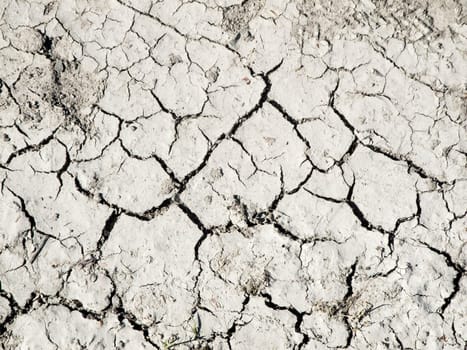 Format-filling overhead view of a parched, hard sandy soil with cracks.