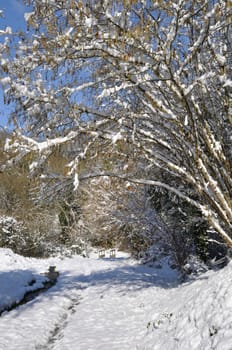 Path under the snow in Brittany
