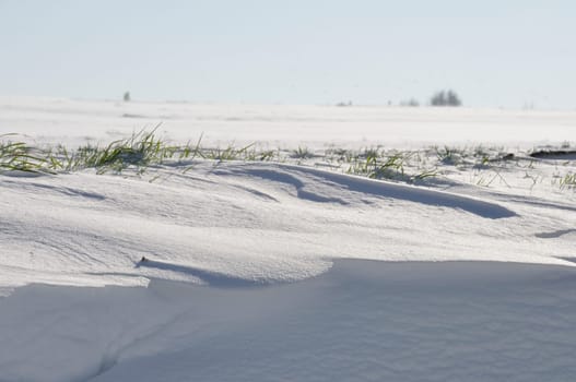 Fields under the snow in Brittany
