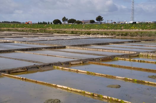 Aveiro salt marshes in Portugal