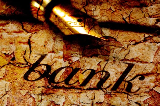 Fountain pen on bank text