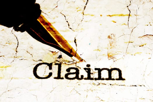 Fountain pen on claim text
