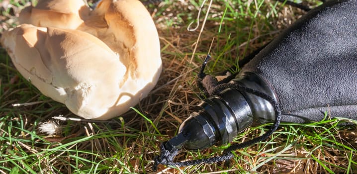 Freshly bread roll and winebag over grass. Traditional spanish country snack