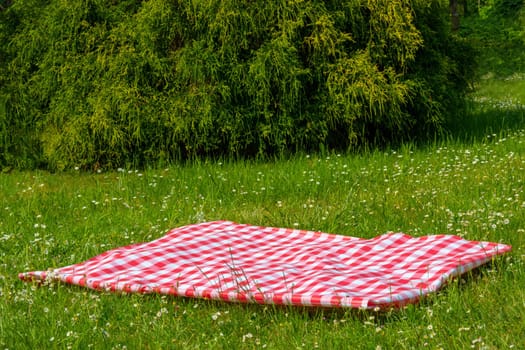 Red picnic blanket. Red checkered picnic cloth on a flowering meadow with daisy flowers. Beautiful backdrop for your product placement or montage.
