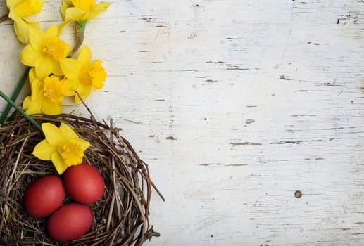 Red easter eggs in bird nest on white wooden background