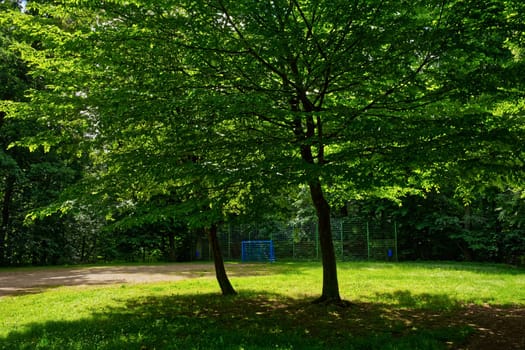 football field in the summer forest, atmospheric and idyllic light, the goal is colored in blue, builds a nice contrast to the green of the meadow