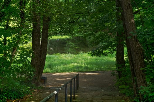 Stone stairs leading to a park, trees surroundinng the stairs, summertime