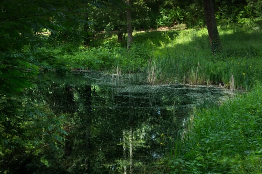 Lake in a park, trees mirroring in the water
