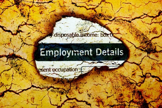 Employment details
