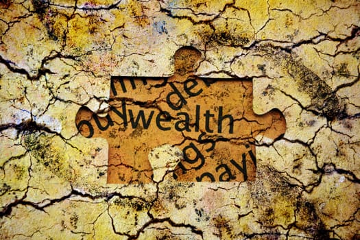 Wealth puzzle concept