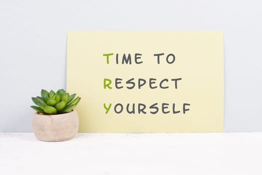 The words time to respect yourself are standing on paper, responsibility and development, motivation concept, cactus plant beside the message