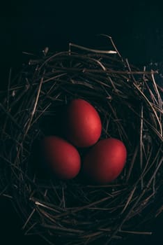 Red easter eggs in bird nest on dark background. Retro style.