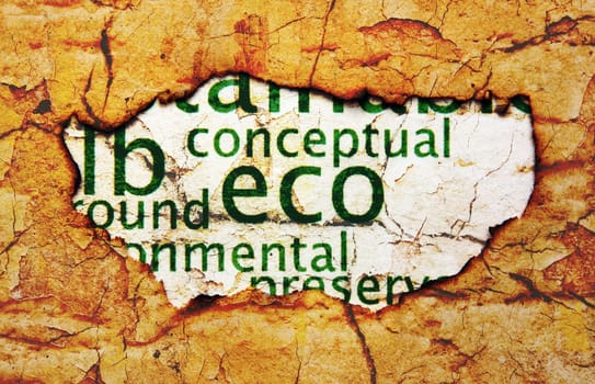 Ecology