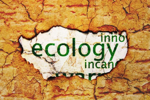 Ecology