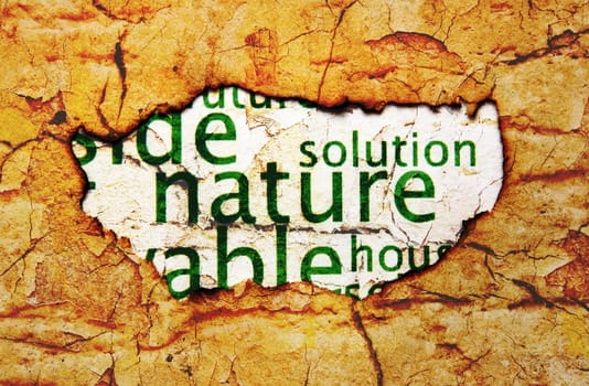 Nature paper hole