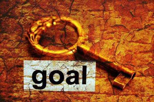 Goal concept
