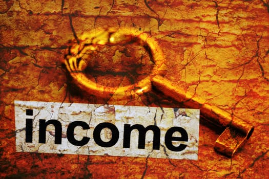 Income concept