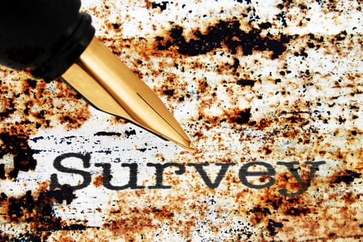 Fountain pen on survey