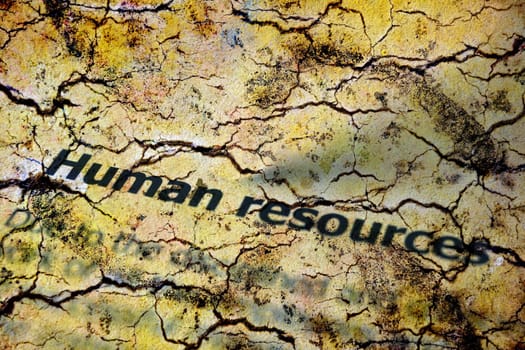 Human resources