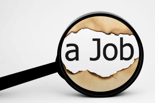Search for job
