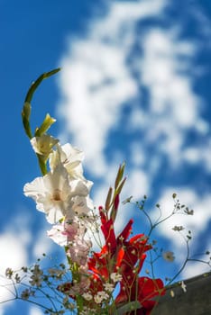 Flowers in a cemetery in Concepcion, Peru