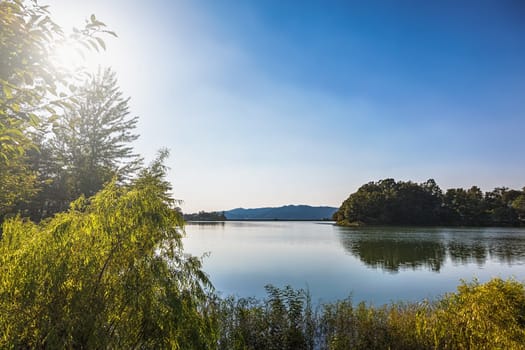 Lake or pond landscape and trees reflection on water with sun light