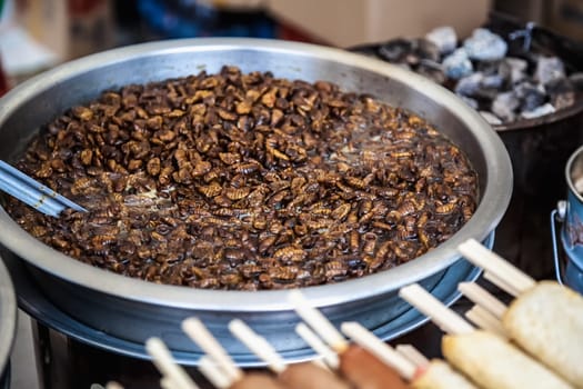 Fried beetles or insects traditional exotic korean or asian food in metal or aluminium dish or pan